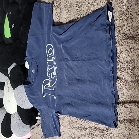 Tampa Bay Rays - Picture 1 of 7
